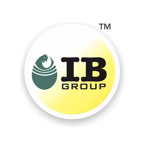 IB Group